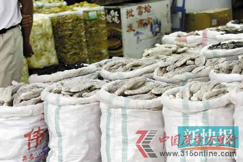 ■一德路海产品市场上售卖的海参。新快报记者毕志毅/摄 ■一德路海产品市场上售卖的海参。新快报记者毕志毅/摄
