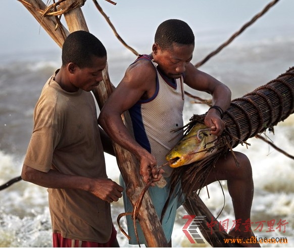 调查:全球男人生殖器比长短 刚果最长朝韩最短