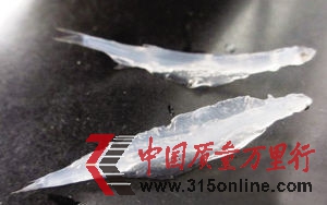 网友公布的“假银鱼”照片 网友公布的“假银鱼”照片