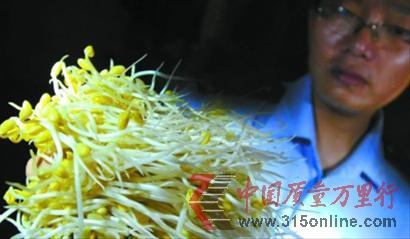 “问题豆芽”加工过程中添加了许多违法添加剂 本版图片均为晚报 王浩然 资料图片 “问题豆芽”加工过程中添加了许多违法添加剂 本版图片均为晚报 王浩然 资料图片