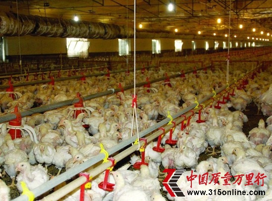 年终盘点:食品安全事件中那些致命毒物