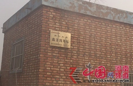 周口项城县高洼肉鸡养殖场 周口项城县高洼肉鸡养殖场
