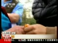 海南导游成导购