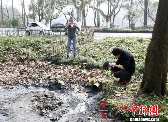 污水直排西湖续:系污水系统问题非朝夕能解决